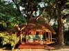 Bilimungwe - lounge